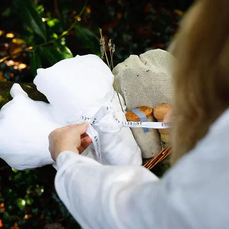 Digital Detox Σαλέ