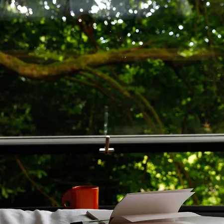 Digital Detox * Raistin