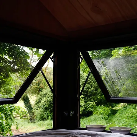 Digital Detox Raistin