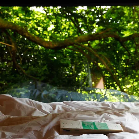 Digital Detox Σαλέ *