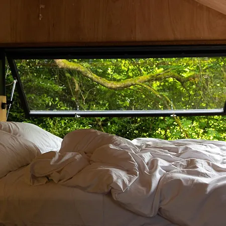 Digital Detox Raistin