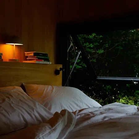 Digital Detox * Raistin