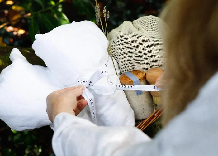 Digital Detox בקתה