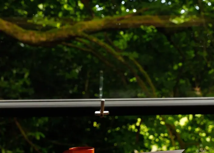 Digital Detox * Raistin