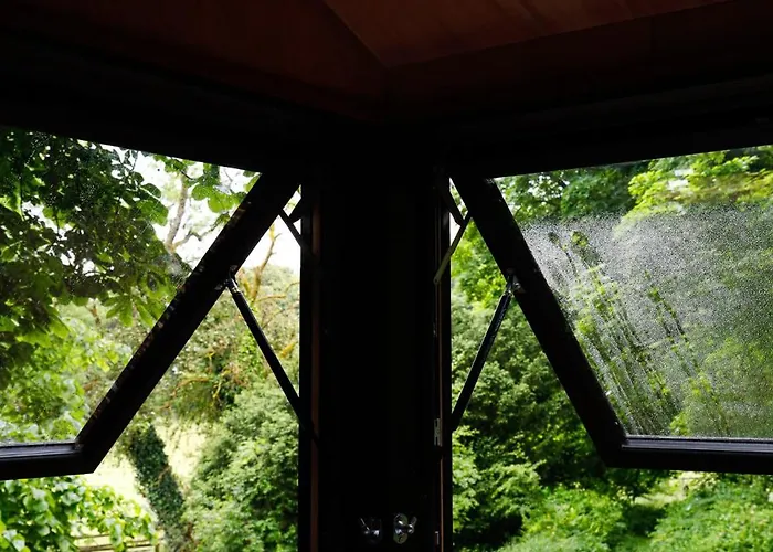 Digital Detox Raistin