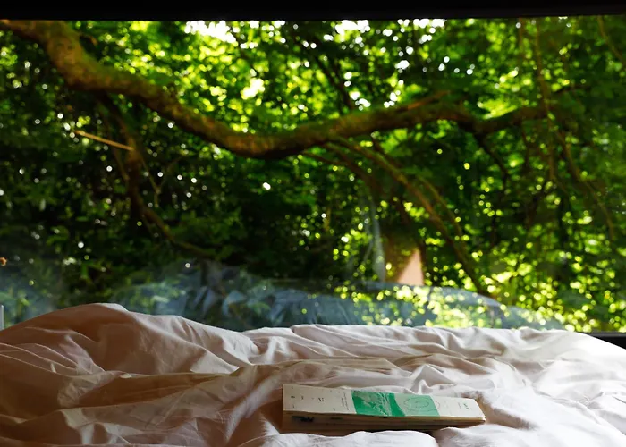 Digital Detox Chalet *