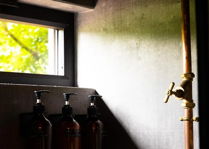 Digital Detox Raistin