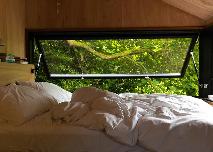 Digital Detox Raistin