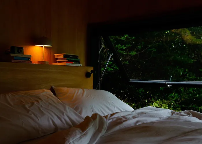 Digital Detox * Raistin